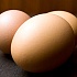 Куриное яйцо - баланс полезных нутриентов